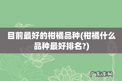 柑橘什么品种最好排名? 目前最好的柑橘品种