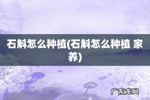 石斛怎么种植 家养 石斛怎么种植