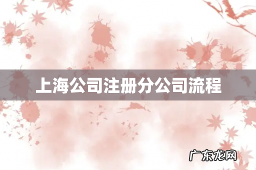 上海公司注册分公司流程