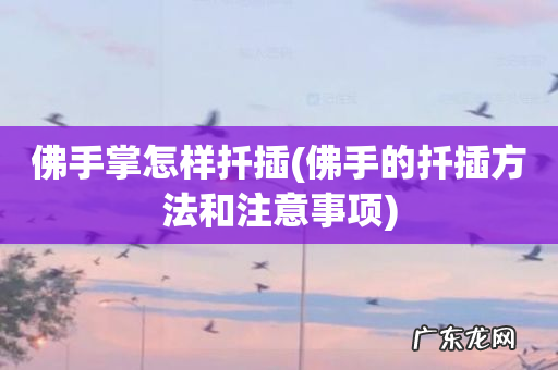 佛手的扦插方法和注意事项 佛手掌怎样扦插