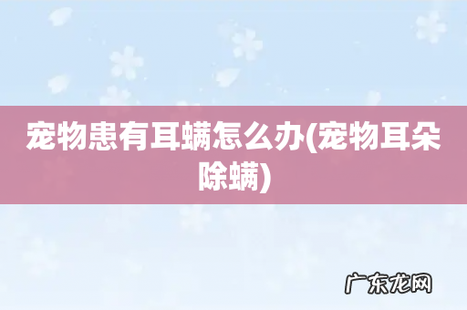 宠物耳朵除螨 宠物患有耳螨怎么办
