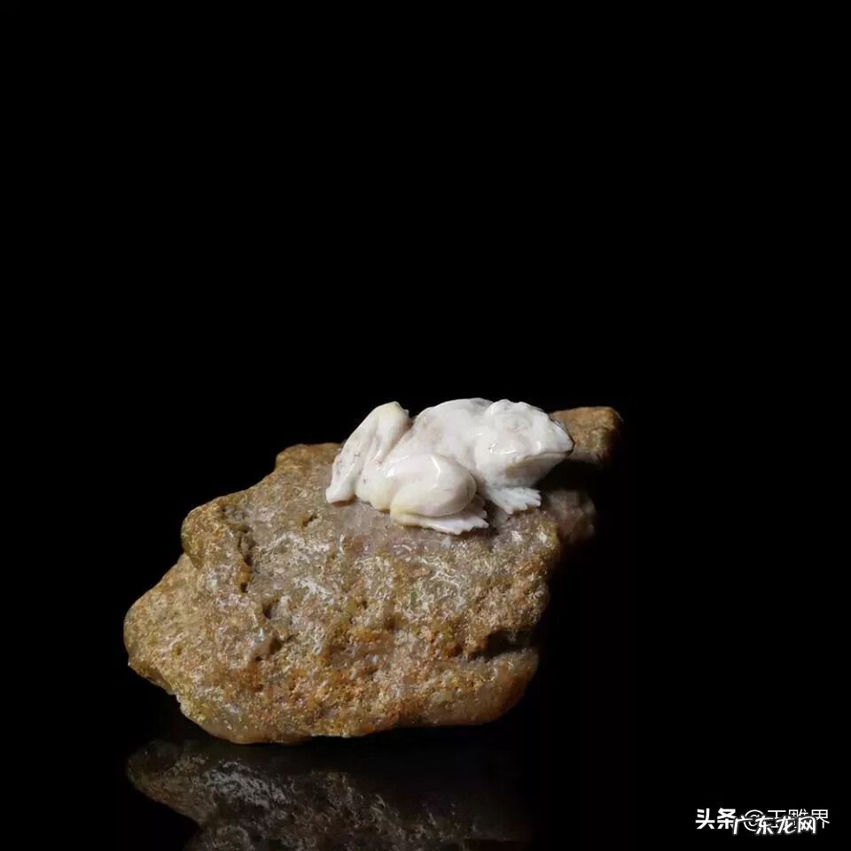 金蟾摆放位置和方向 金蟾风水平面设计图