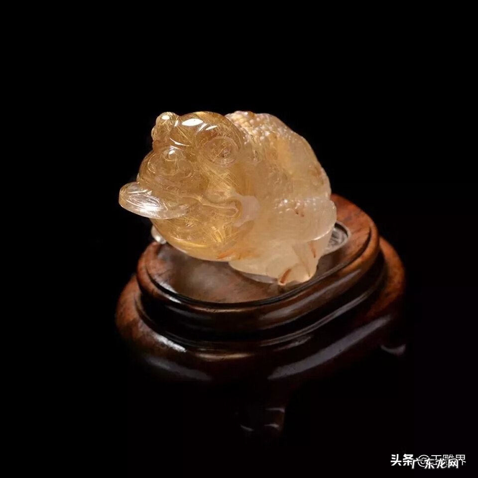 金蟾摆放位置和方向 金蟾风水平面设计图