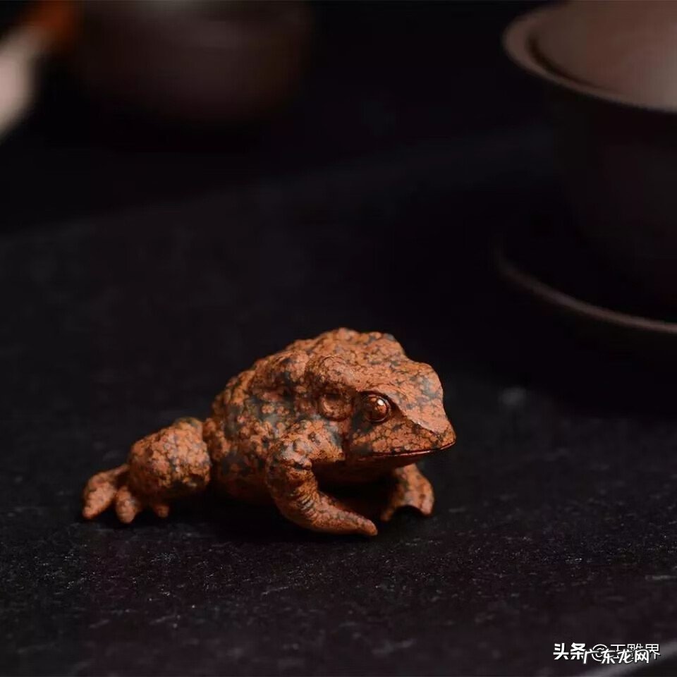 金蟾摆放位置和方向 金蟾风水平面设计图