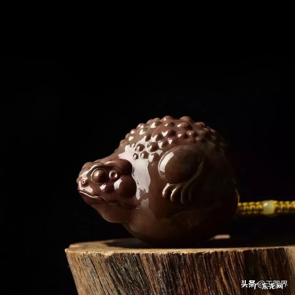 金蟾摆放位置和方向 金蟾风水平面设计图