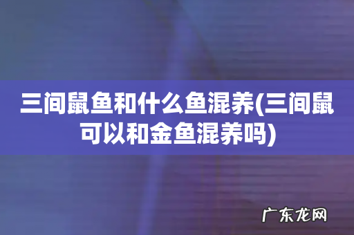 三间鼠可以和金鱼混养吗 三间鼠鱼和什么鱼混养