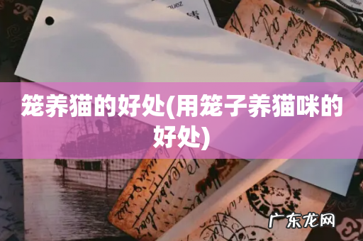 用笼子养猫咪的好处 笼养猫的好处