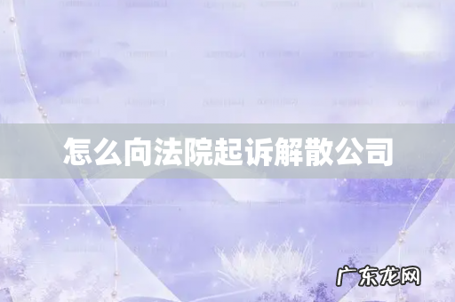 怎么向法院起诉解散公司