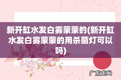 新开缸水发白雾蒙蒙的用杀菌灯可以吗 新开缸水发白雾蒙蒙的