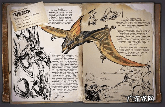 方舟生存进化国服 方舟国服下载