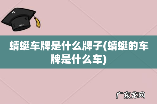 蜻蜓的车牌是什么车 蜻蜓车牌是什么牌子