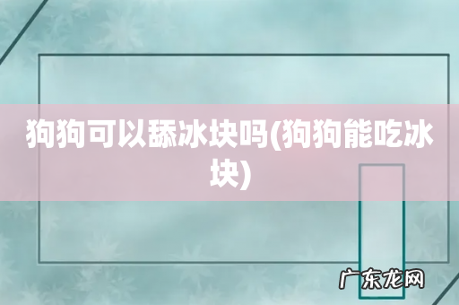 狗狗能吃冰块 狗狗可以舔冰块吗