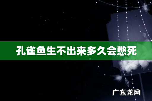 孔雀鱼生不出来多久会憋死