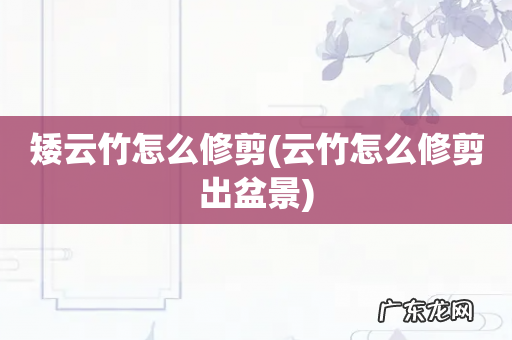 云竹怎么修剪出盆景 矮云竹怎么修剪