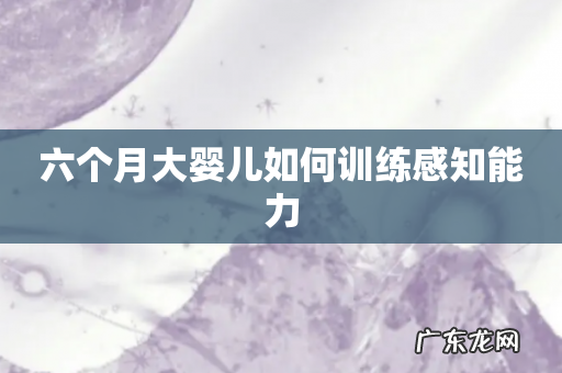 六个月大婴儿如何训练感知能力