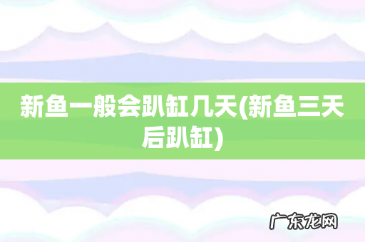 新鱼三天后趴缸 新鱼一般会趴缸几天