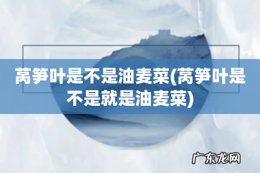 莴笋叶是不是就是油麦菜 莴笋叶是不是油麦菜