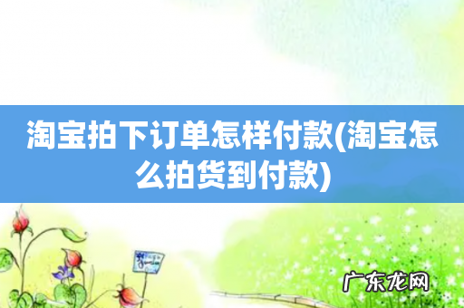 淘宝怎么拍货到付款 淘宝拍下订单怎样付款