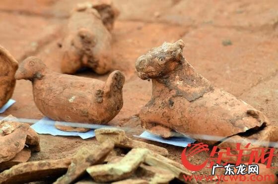 大学开设风水学 大学有风水