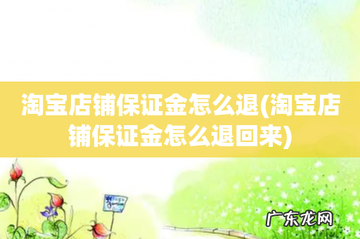 淘宝店铺保证金怎么退回来 淘宝店铺保证金怎么退