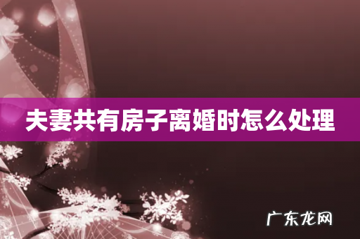 夫妻共有房子离婚时怎么处理