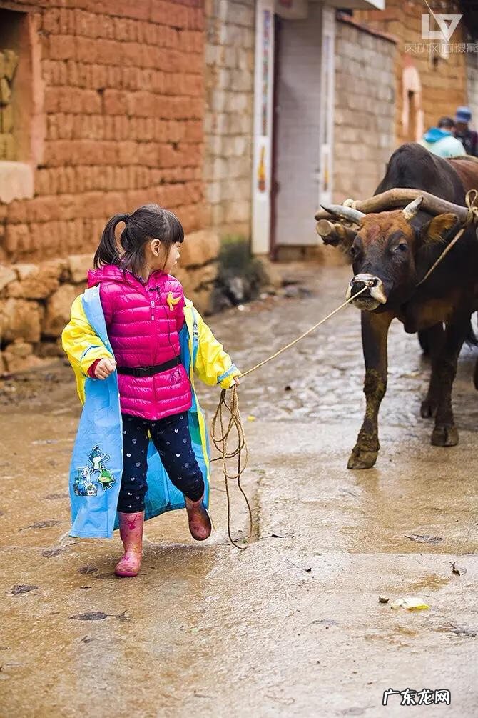 美少女成长计划4.5 美少女成长计划 攻略