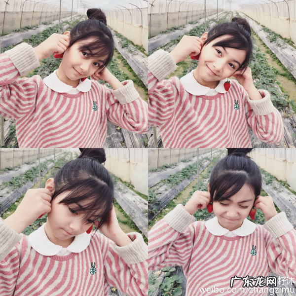 美少女成长计划4.5 美少女成长计划 攻略