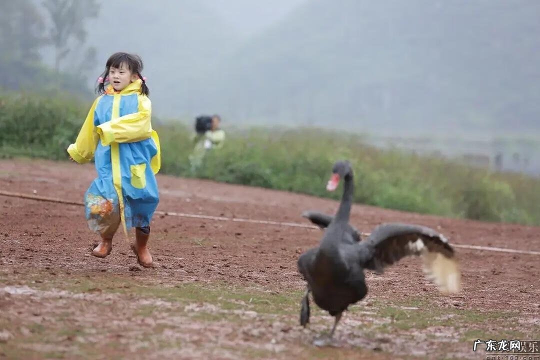 美少女成长计划4.5 美少女成长计划 攻略