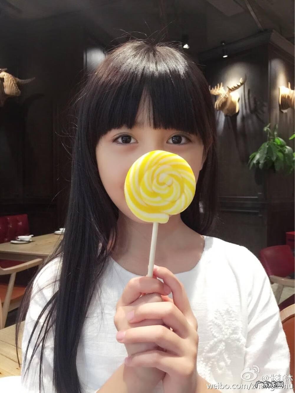 美少女成长计划4.5 美少女成长计划 攻略