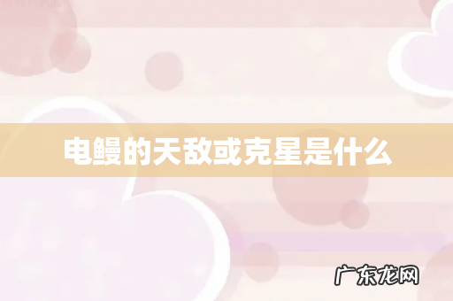 电鳗的天敌或克星是什么