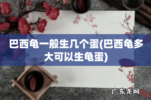 巴西龟多大可以生龟蛋 巴西龟一般生几个蛋