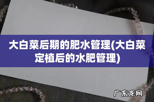大白菜定植后的水肥管理 大白菜后期的肥水管理