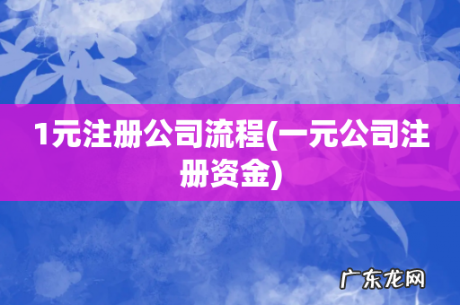 一元公司注册资金 1元注册公司流程