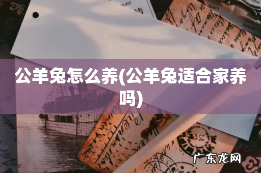 公羊兔适合家养吗 公羊兔怎么养