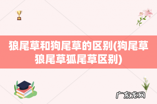 狗尾草狼尾草狐尾草区别 狼尾草和狗尾草的区别
