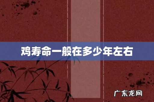 鸡寿命一般在多少年左右