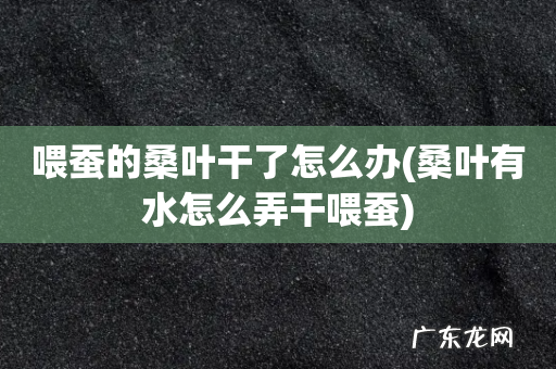 桑叶有水怎么弄干喂蚕 喂蚕的桑叶干了怎么办