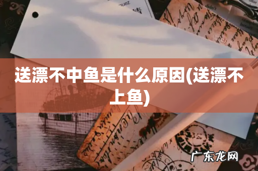 送漂不上鱼 送漂不中鱼是什么原因