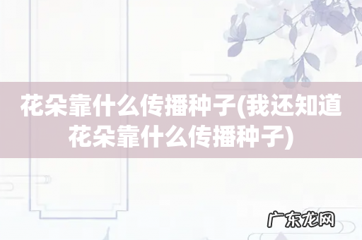 我还知道花朵靠什么传播种子 花朵靠什么传播种子