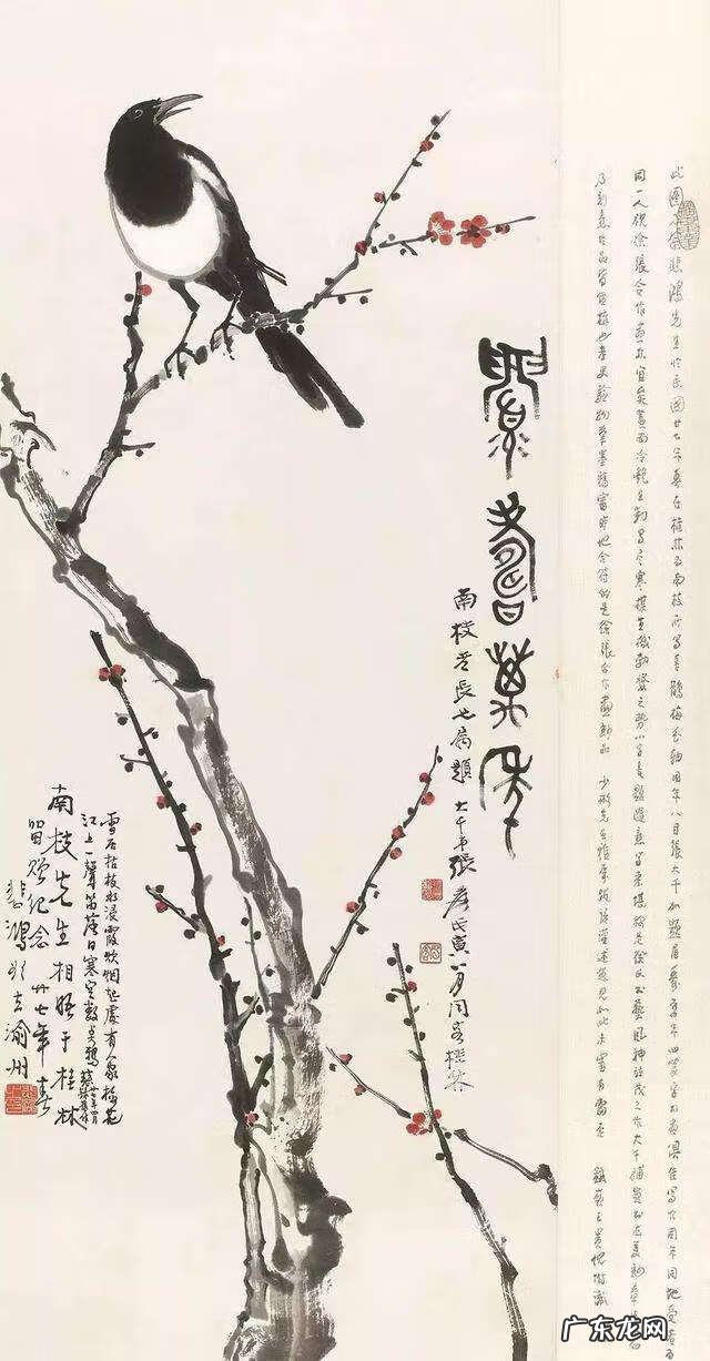 鹊山鸡 喜鹊和鸡是同类吗