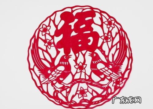 鹊山鸡 喜鹊和鸡是同类吗