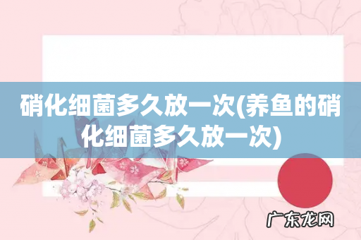 养鱼的硝化细菌多久放一次 硝化细菌多久放一次