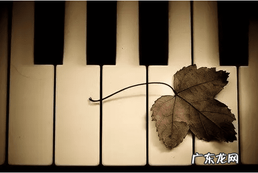 国家项目为什么要看风水 风水服务项目有哪些