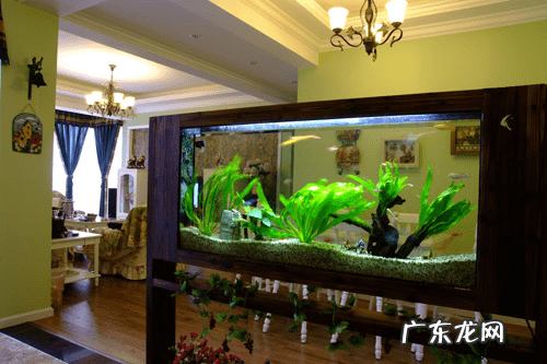 风水中的水局 风水中的水局是什么意思