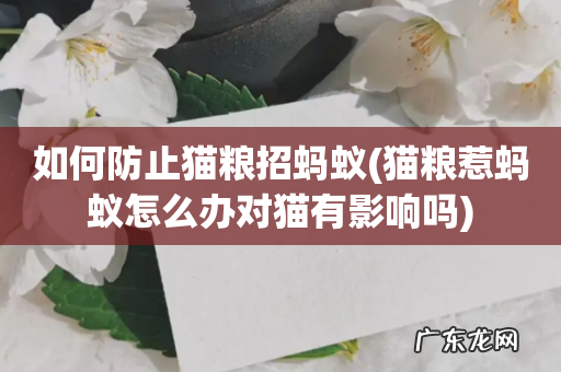 猫粮惹蚂蚁怎么办对猫有影响吗 如何防止猫粮招蚂蚁