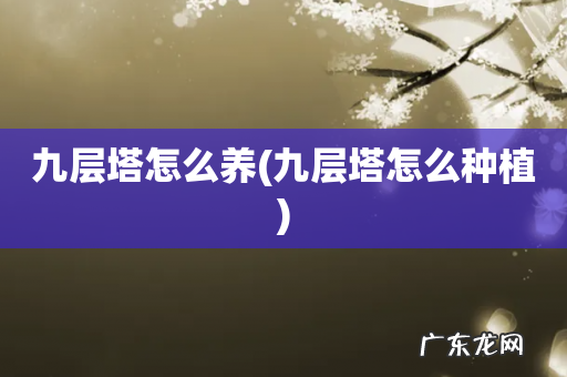 九层塔怎么种植 九层塔怎么养
