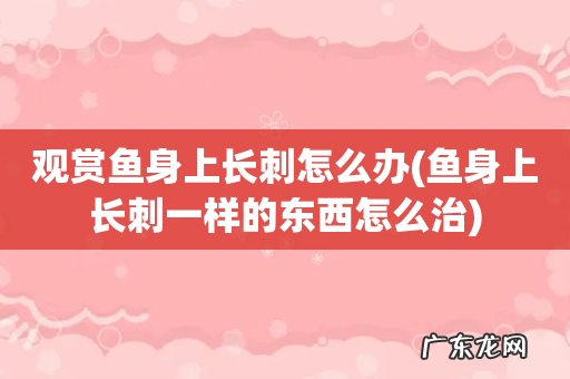 鱼身上长刺一样的东西怎么治 观赏鱼身上长刺怎么办
