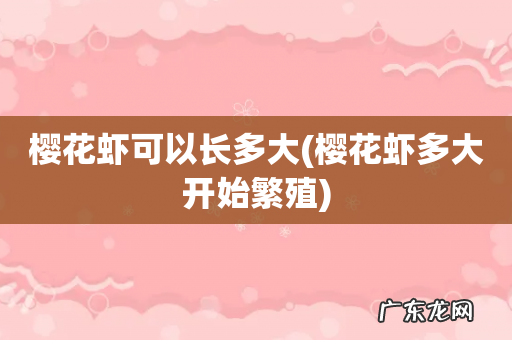 樱花虾多大开始繁殖 樱花虾可以长多大