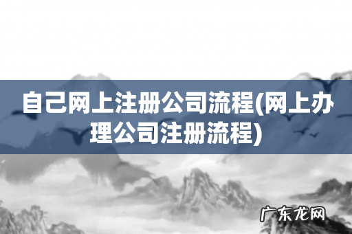 网上办理公司注册流程 自己网上注册公司流程