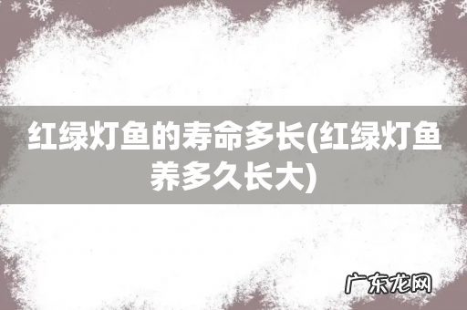 红绿灯鱼养多久长大 红绿灯鱼的寿命多长